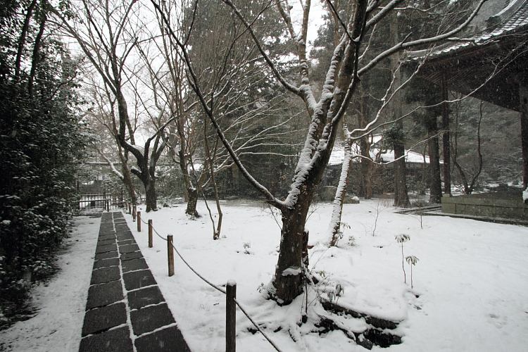 雪の蓮華寺_e0051888_2184843.jpg