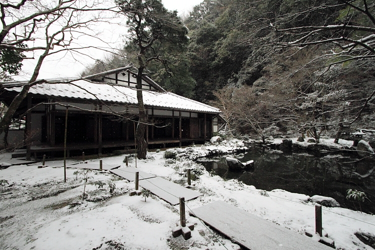 雪の蓮華寺_e0051888_2192631.jpg