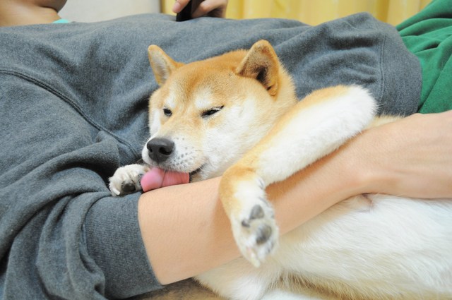 1日の終わり_a0126590_5222894.jpg
