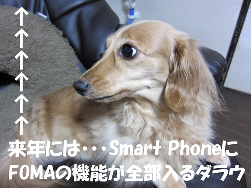 SH-05C ケース_b0200291_19554642.jpg