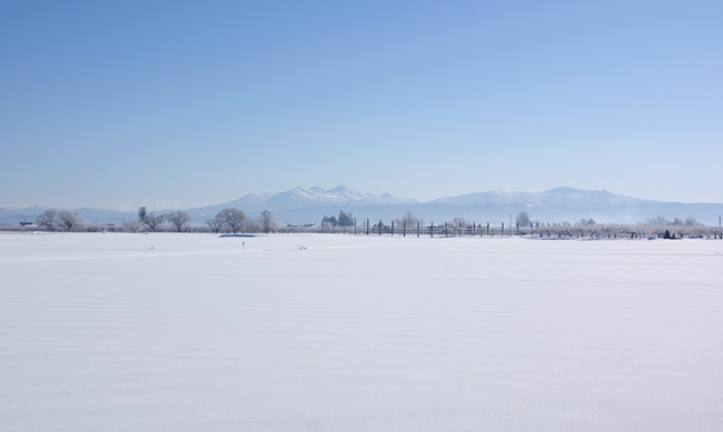 冬の晴天 平川の白鳥と岩木山_a0136293_1574689.jpg