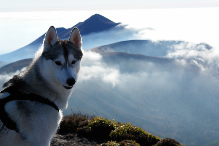 美しき山 by CX2 & DSC-R1_c0049299_1872758.jpg