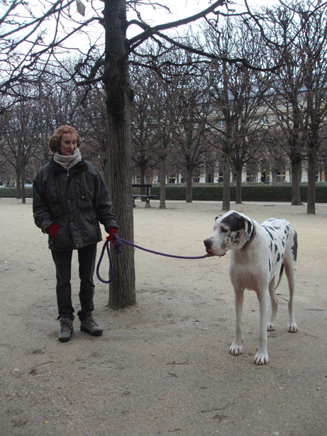 c0129702_818334.gif