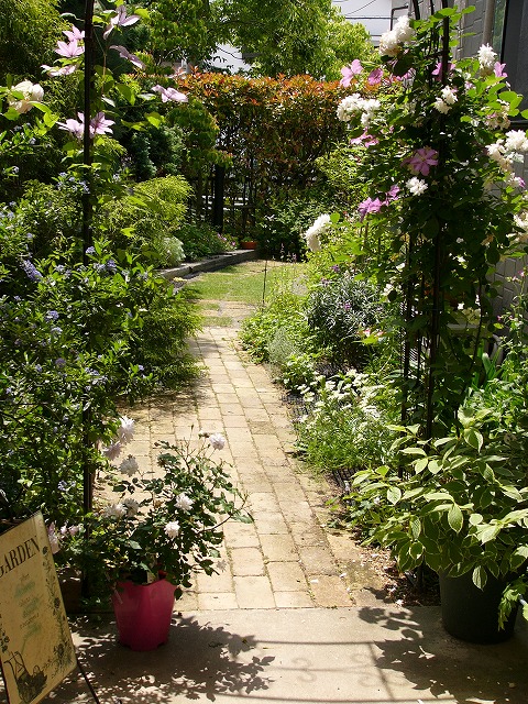 a0123003_2145793.jpg