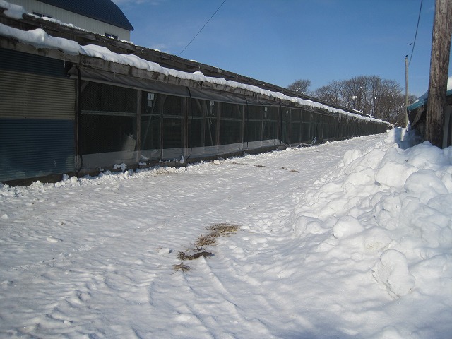 f0202703_20364094.jpg