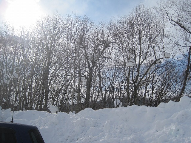 f0202703_2191632.jpg