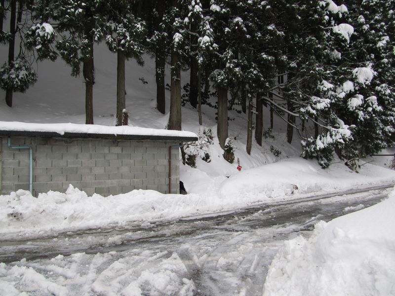 高ヱ山・水行山の登山口確認に_d0159609_21104076.jpg