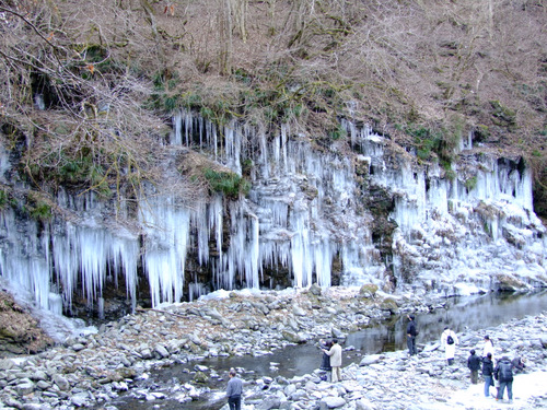 「三十槌の氷柱(みそつちのつらら) 凍った滝、つららを見てきました!」_a0000029_0573413.jpg
