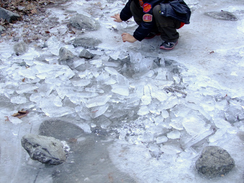 「三十槌の氷柱(みそつちのつらら) 凍った滝、つららを見てきました!」_a0000029_058286.jpg