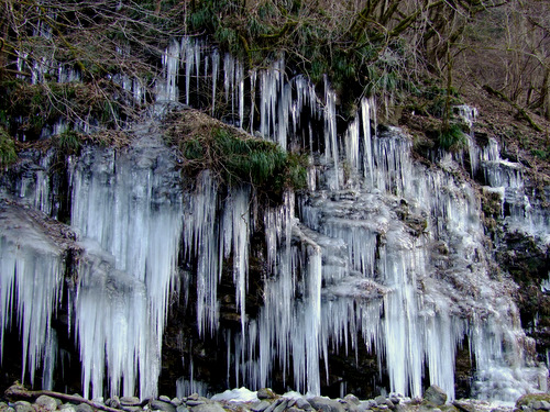 「三十槌の氷柱(みそつちのつらら) 凍った滝、つららを見てきました!」_a0000029_123525.jpg