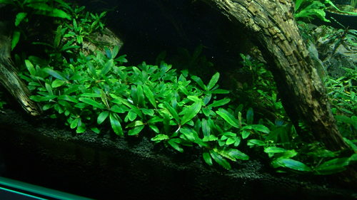 e0177832_0191385.jpg