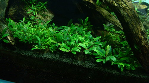 e0177832_0232236.jpg