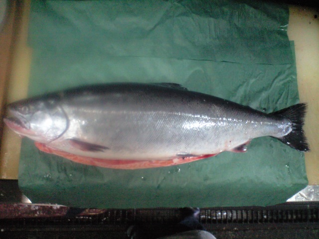 -_b0128238_14105336.jpg
