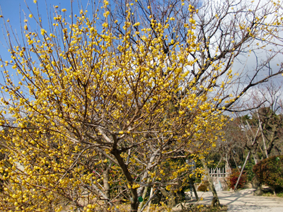 e0110940_1752716.jpg