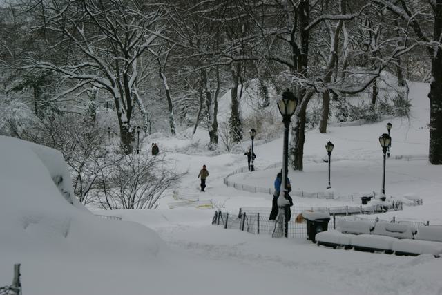 ４８ｃｍ雪積した、セントラル・パーク　---其の二---_a0170045_1242536.jpg