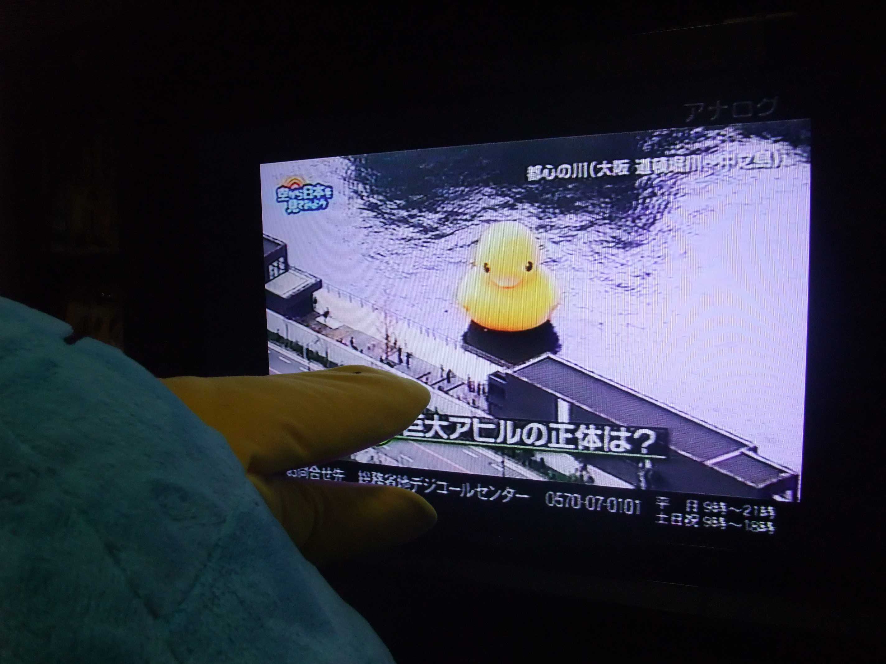 イコやんのカレンダー壁紙と Icoca飼いました イコやんのカレンダー壁紙と Icoca飼いました