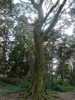 京都府立植物園にて_b0156260_3174016.jpg