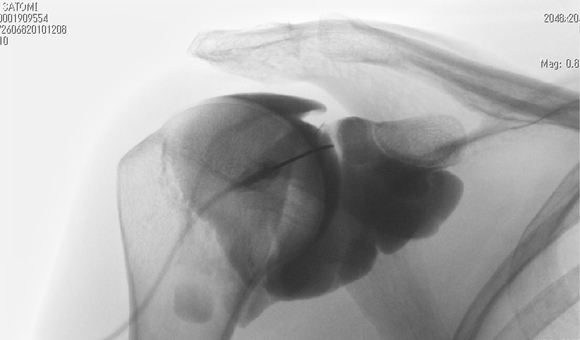 c0198263_23551677.jpg