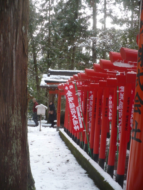 201１年1月29日（土）　多賀大社_a0063364_23565527.jpg