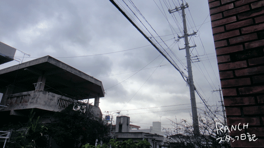 d0181266_10515433.gif