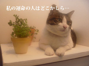 f0238772_21716.jpg
