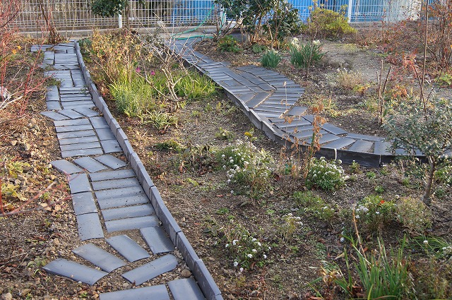 e0181373_2081918.jpg