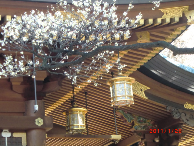 a0185783_15291291.jpg