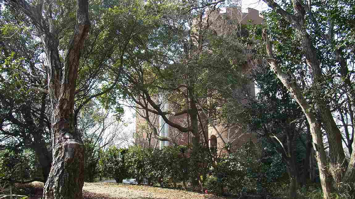 a0152692_2023406.jpg