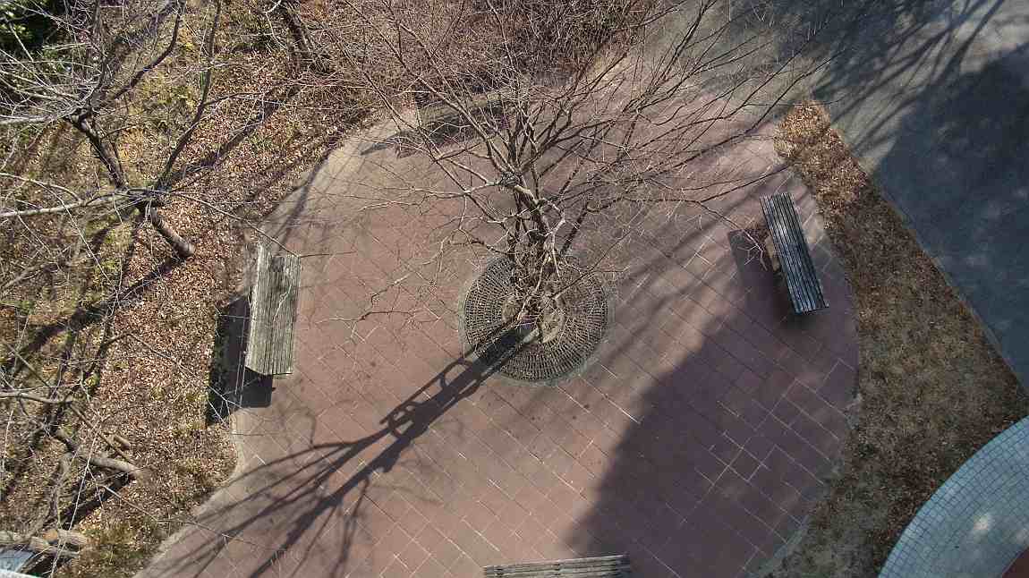 a0152692_20252168.jpg