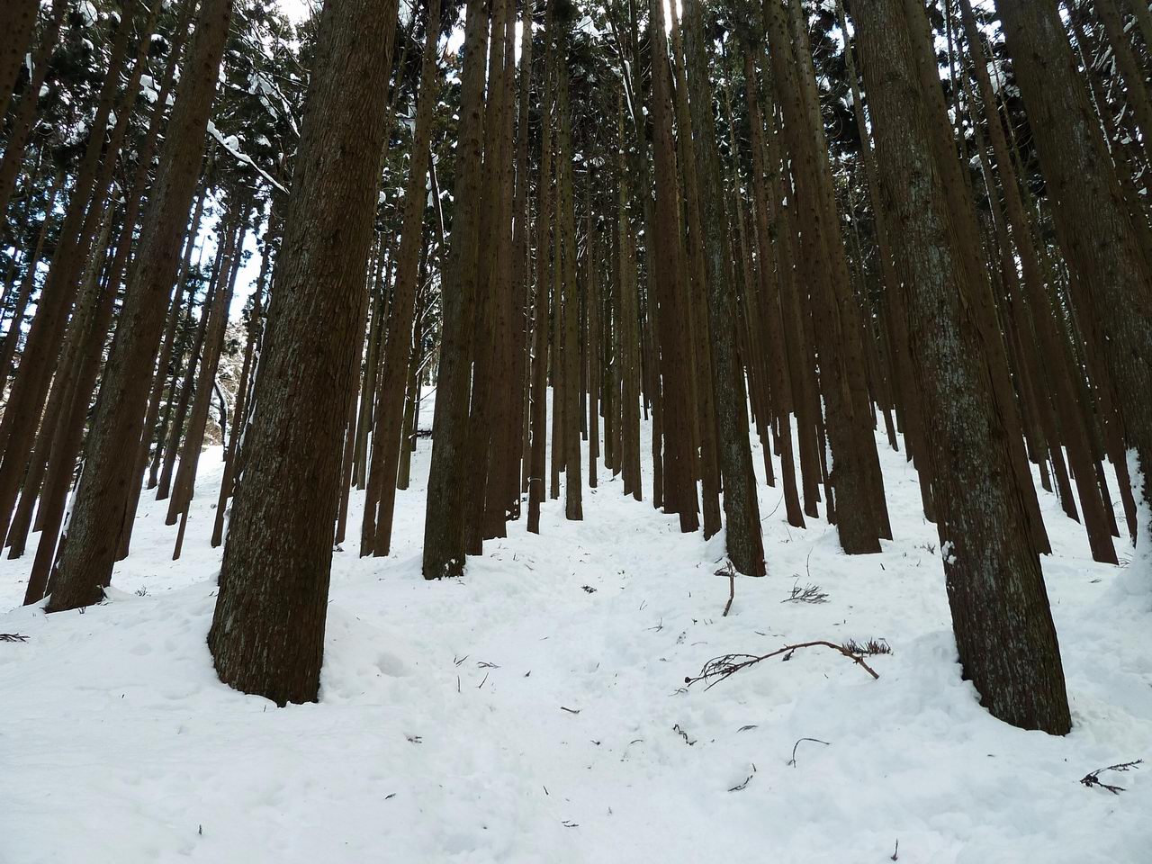 武奈ヶ岳－比良も雪が多かった！_e0110500_23553937.jpg