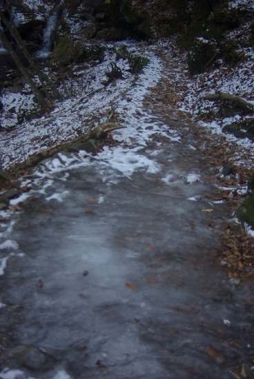 e0183804_5573488.jpg