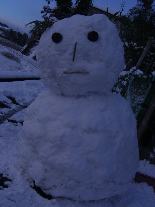 あっとゆうまに雪が降り積もりました_a0139908_21172334.jpg