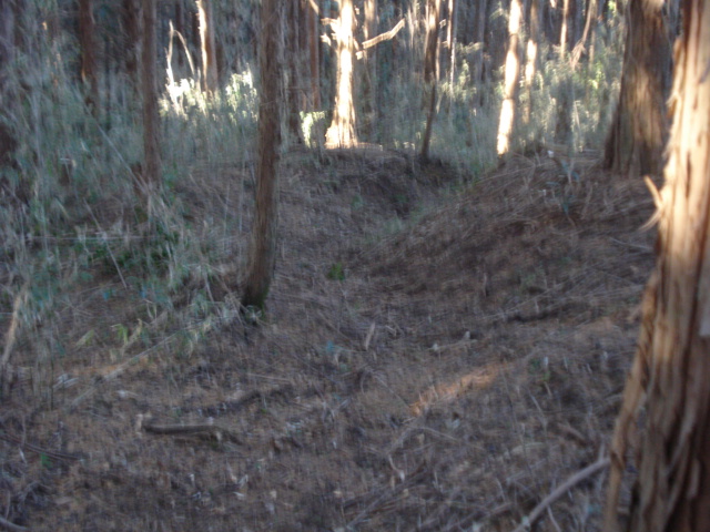 e0015108_15572328.jpg
