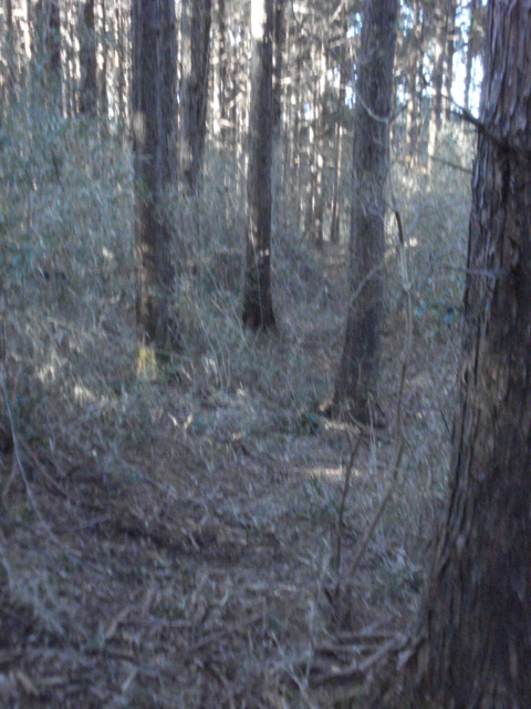 e0015108_15575723.jpg