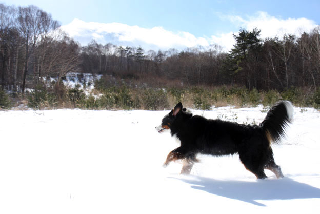 1月10日　思い出の雪遊び_f0137508_2140051.jpg