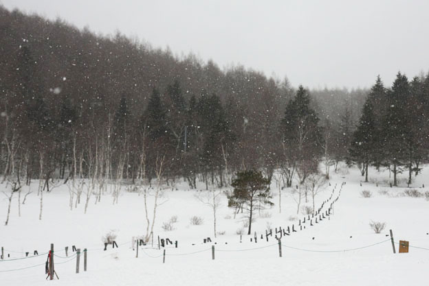 プロローグ：11バニで雪遊び_f0137508_22295282.jpg