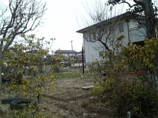 a0156611_9503888.jpg