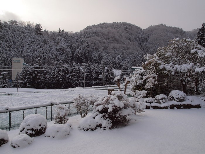 今朝の雪景色_c0116915_21561633.jpg