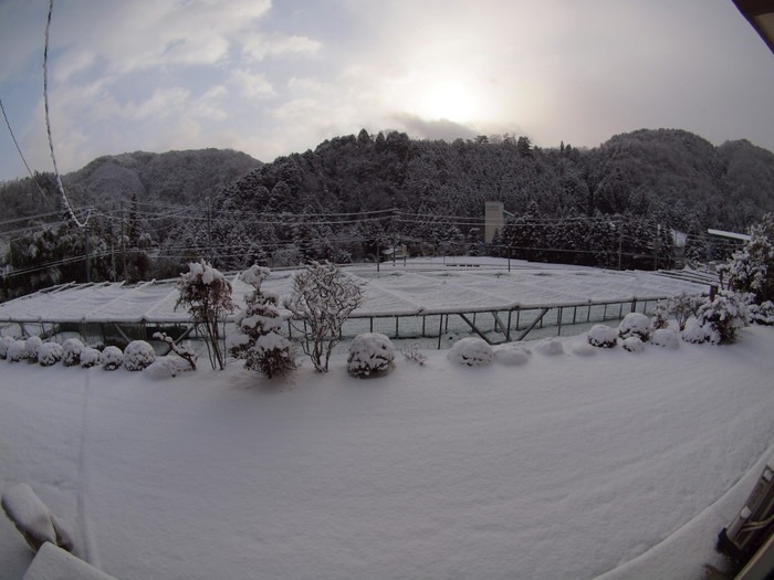 今朝の雪景色_c0116915_21565999.jpg