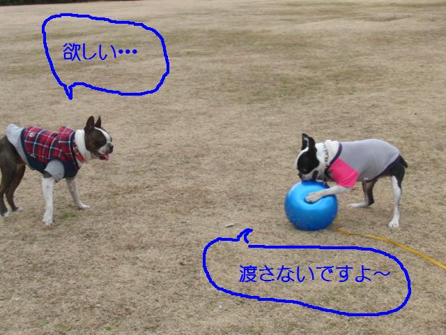 c0220715_21261036.jpg