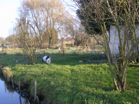 c0124619_622851.jpg
