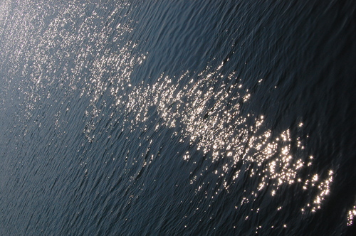 b0195924_22324626.jpg