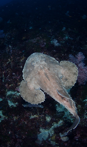 f0206424_14555716.jpg