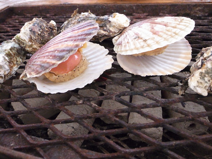 カキ食えば。。。_d0165627_21124360.jpg