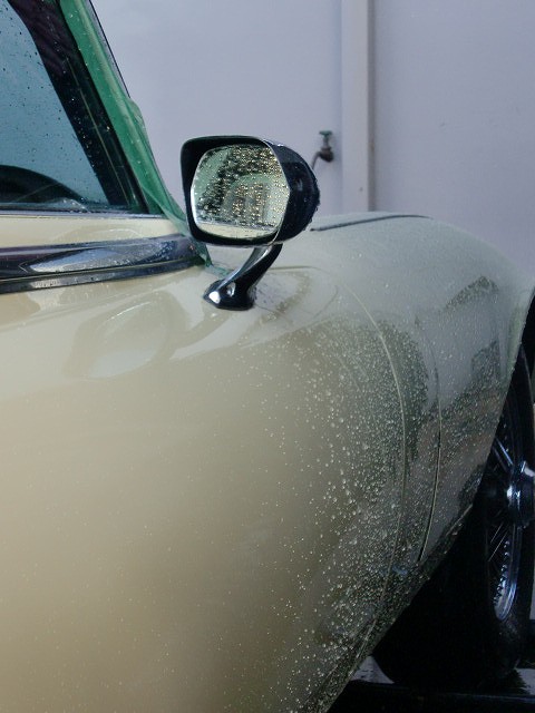 a0148431_2149740.jpg