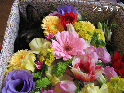 a0166338_1314178.gif