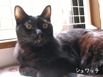 a0166338_13295996.gif