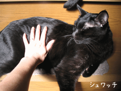 a0166338_13364796.gif