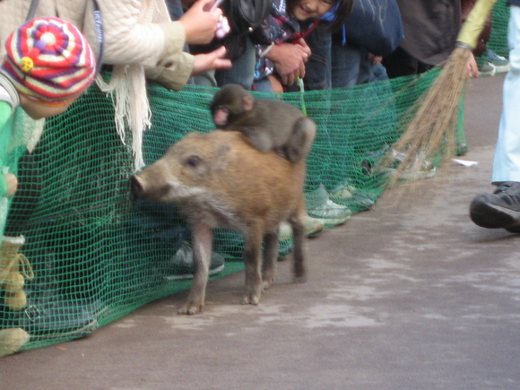 お寺めぐり_c0094245_1020235.jpg