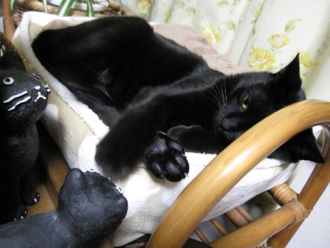 c0147952_0182632.jpg